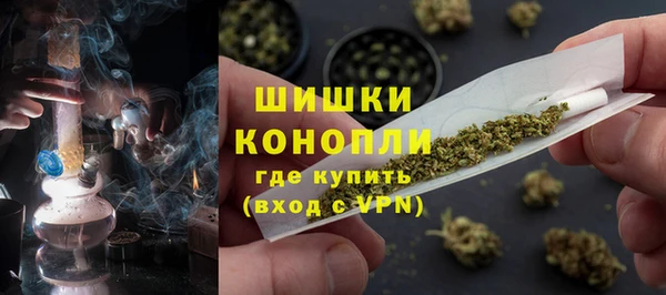 амф Бронницы