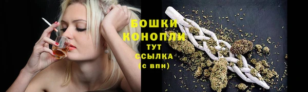 амф Бронницы