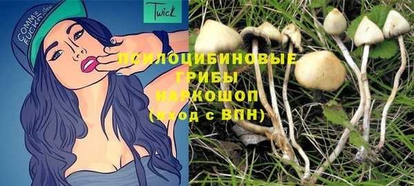 мяу мяу мука Бугульма