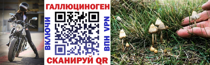 Псилоцибиновые грибы мицелий Полтавская